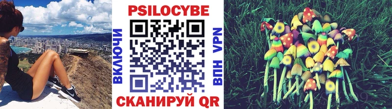 Псилоцибиновые грибы Psilocybine cubensis  где продают наркотики  Льгов 